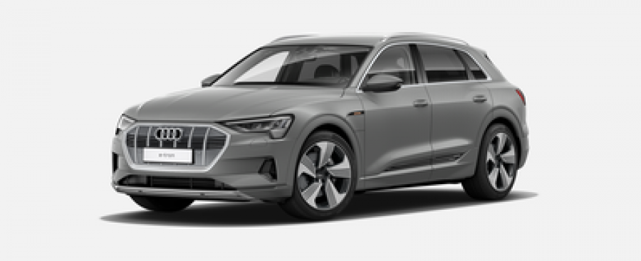 Audi e-tron, Advanced 55 quattro 265 kW, barva béžová