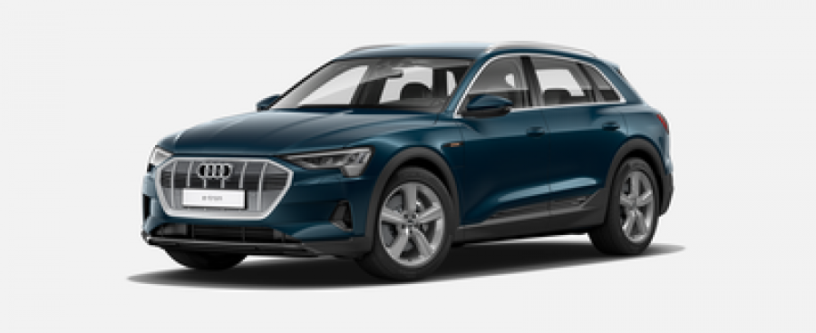 Audi e-tron, Advanced 55 quattro 265 kW, barva modrá