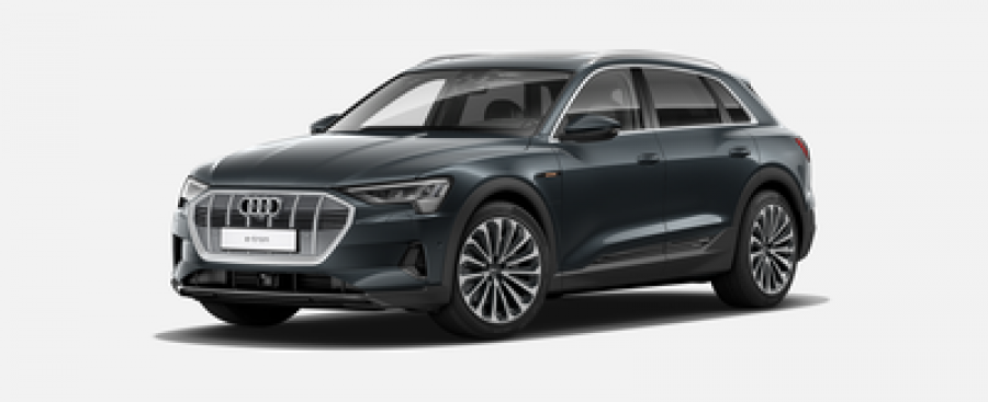 Audi e-tron, Advanced 55 quattro 265 kW, barva šedá