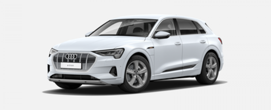 Audi e-tron, Advanced 55 quattro 265 kW, barva bílá