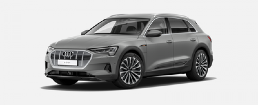 Audi e-tron, Advanced 55 quattro 265 kW, barva béžová