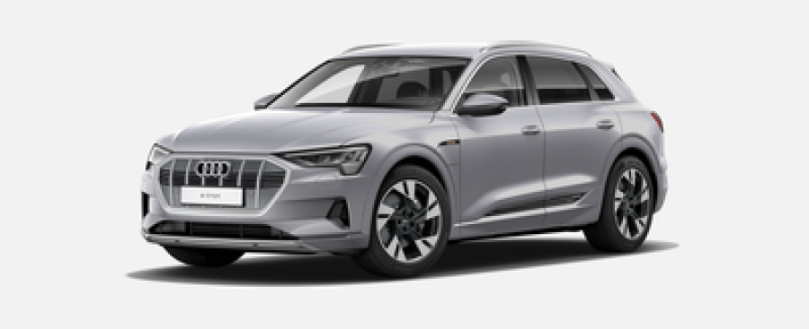 Audi e-tron, Advanced 55 quattro 265 kW, barva stříbrná