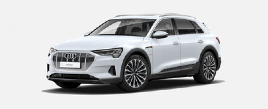 Audi e-tron, Advanced 55 quattro 265 kW, barva bílá