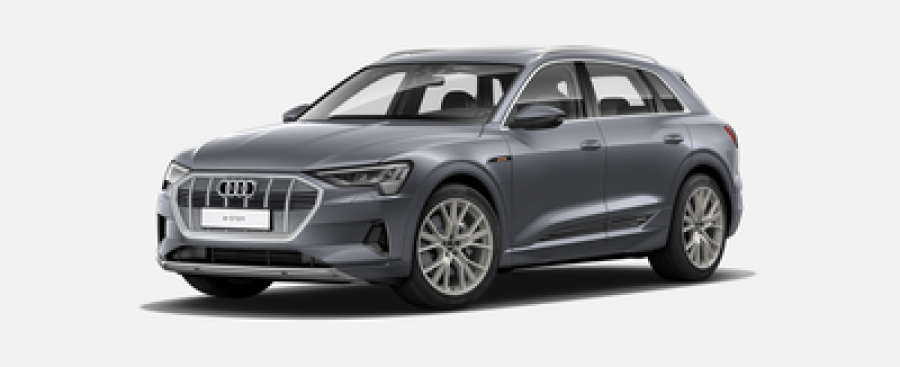 Audi e-tron, Advanced 55 quattro 265 kW, barva šedá